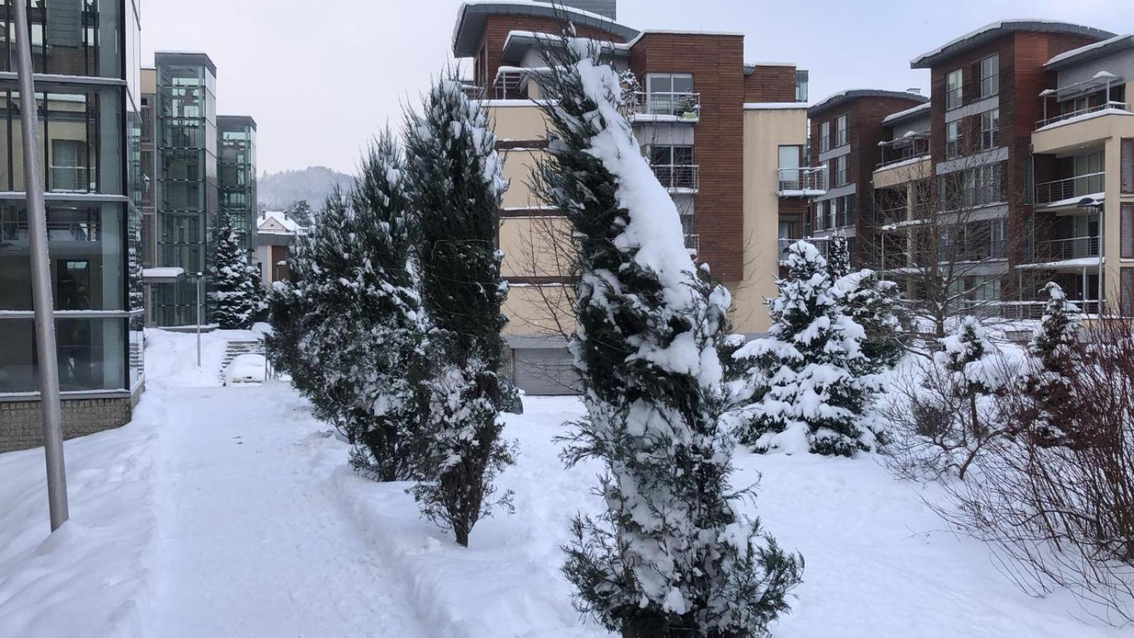 Apartament Z Widokiem Na Czantorie W Zeta Park Устронь Экстерьер фото